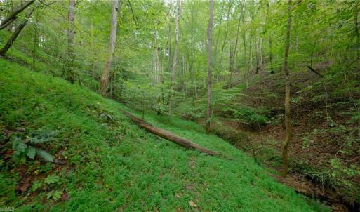 Photo #34 of 1580 Seven Island, Danbury, NC 37.4 acres
