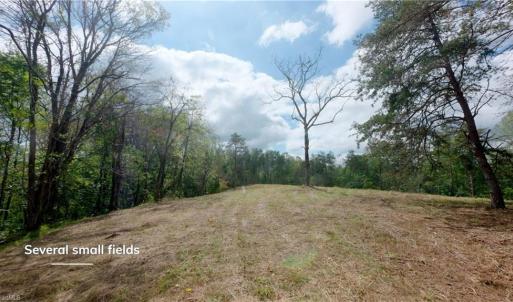 Photo #29 of 1580 Seven Island, Danbury, NC 37.4 acres
