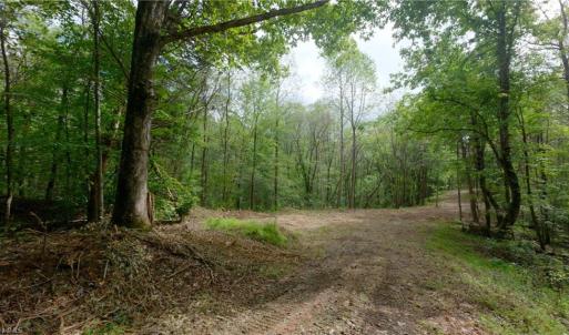 Photo #26 of 1580 Seven Island, Danbury, NC 37.0 acres