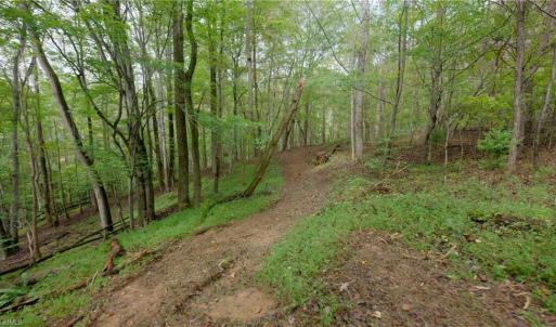 Photo #27 of 1582 Seven Island, Danbury, NC 19.0 acres