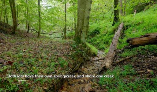Photo #13 of 1582 Seven Island, Danbury, NC 19.0 acres