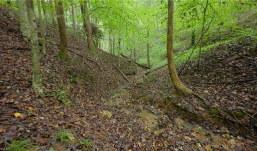 Photo #17 of 1582 Seven Island, Danbury, NC 19.0 acres