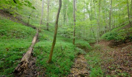 Photo #16 of 1582 Seven Island, Danbury, NC 19.0 acres