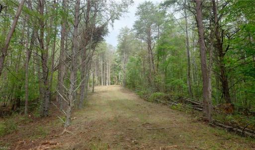 Photo #26 of 1582 Seven Island, Danbury, NC 19.0 acres