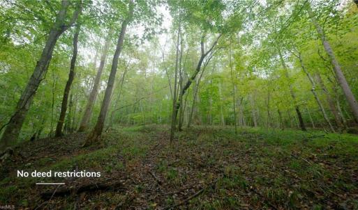 Photo #22 of 1582 Seven Island, Danbury, NC 19.0 acres