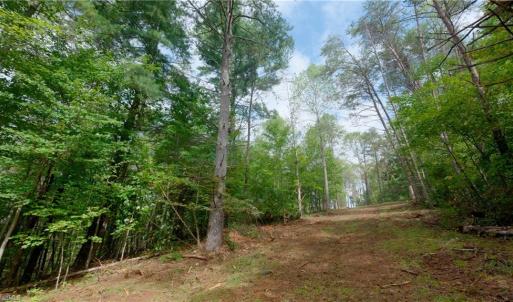 Photo #28 of 1582 Seven Island, Danbury, NC 19.0 acres