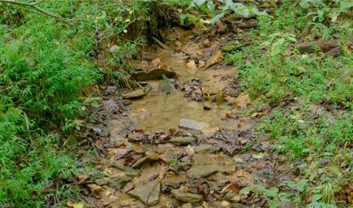 Photo #15 of 1582 Seven Island, Danbury, NC 19.0 acres
