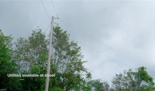Photo #11 of 1582 Seven Island, Danbury, NC 19.0 acres