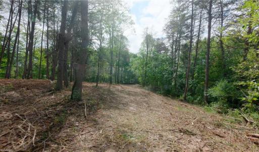 Photo #31 of 1582 Seven Island, Danbury, NC 19.0 acres