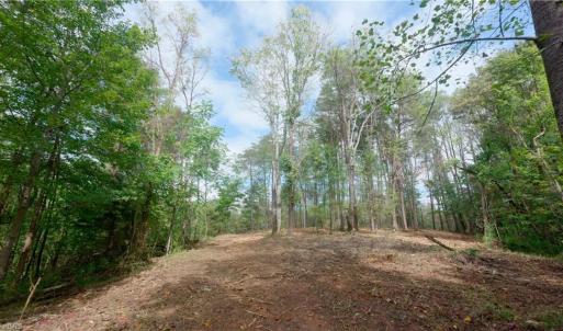Photo #29 of 1582 Seven Island, Danbury, NC 19.0 acres