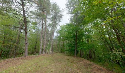 Photo #25 of 1582 Seven Island, Danbury, NC 19.0 acres