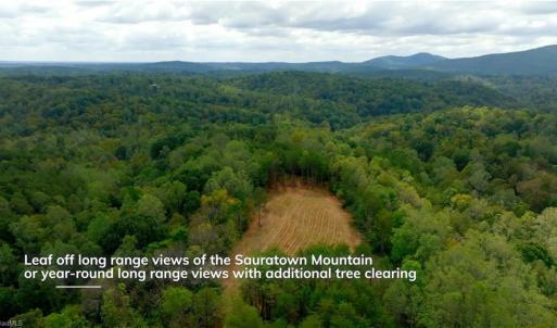 Photo #9 of 1582 Seven Island, Danbury, NC 20.8 acres