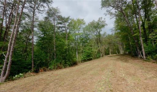 Photo #24 of 1582 Seven Island, Danbury, NC 20.8 acres