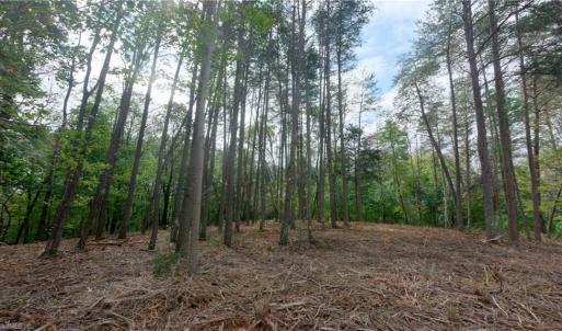 Photo #30 of 1582 Seven Island, Danbury, NC 20.8 acres