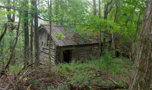 Photo #21 of 1582 Seven Island, Danbury, NC 20.8 acres