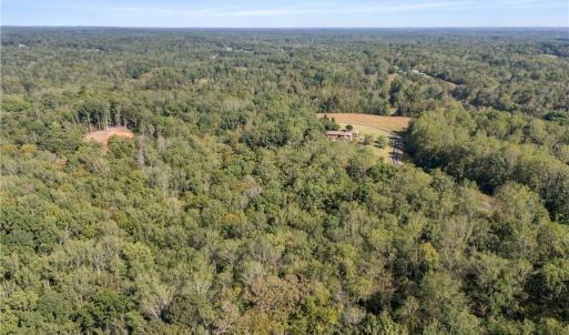 Photo #5 of 4600 River Bluff Farms, Tobaccoville, NC 6.0 acres