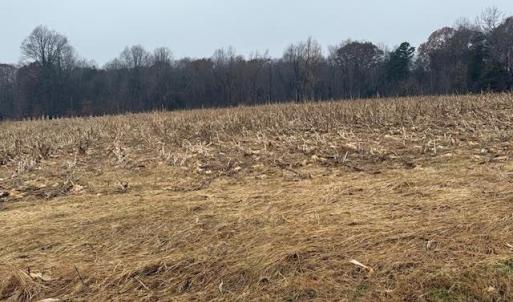 Photo #13 of Lot 1 A Joe Cobb, Ruffin, NC 14.5 acres