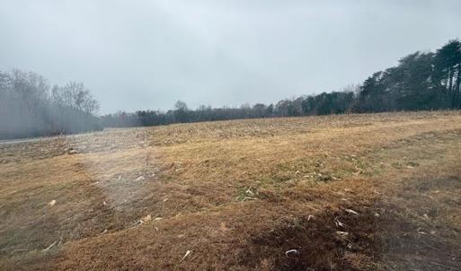 Photo #12 of Lot 1 A Joe Cobb, Ruffin, NC 14.5 acres
