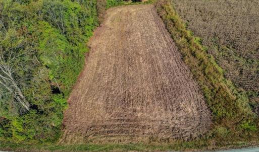 Photo #7 of Lot 1 A Joe Cobb, Ruffin, NC 14.5 acres