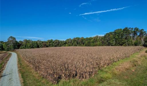 Photo #5 of Lot 1 A Joe Cobb, Ruffin, NC 14.5 acres