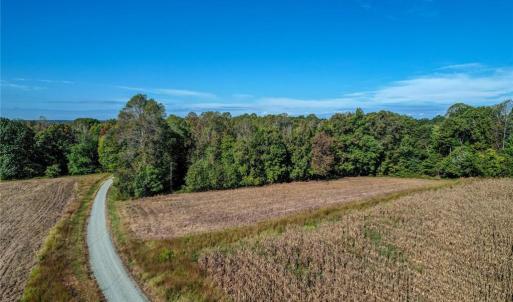 Photo #6 of Lot 1 A Joe Cobb, Ruffin, NC 14.5 acres