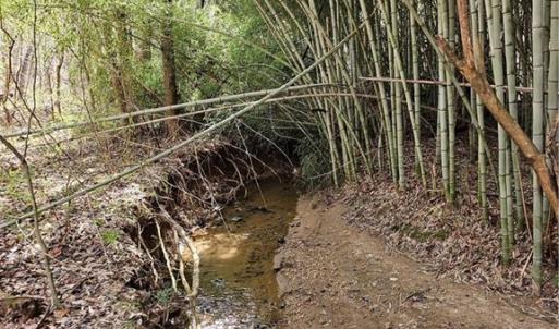 Photo #7 of 4530 Peeples, Oak Ridge, NC 4.5 acres