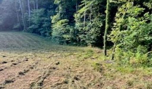 Photo #5 of 4530 Peeples, Oak Ridge, NC 4.5 acres