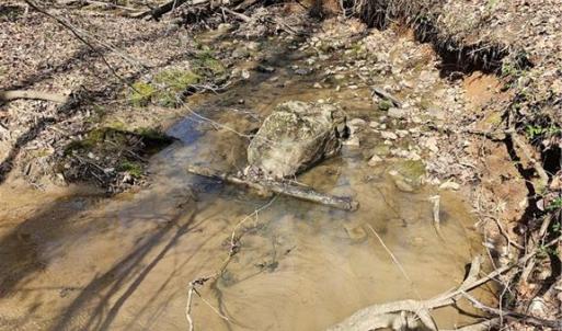 Photo #9 of 4530 Peeples, Oak Ridge, NC 4.5 acres