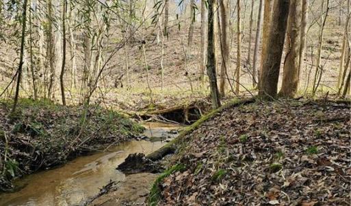 Photo #10 of 4530 Peeples, Oak Ridge, NC 4.5 acres