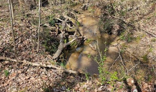 Photo #11 of 4530 Peeples, Oak Ridge, NC 4.5 acres