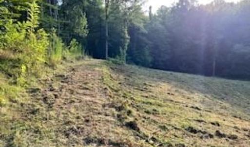 Photo #2 of 4530 Peeples, Oak Ridge, NC 4.5 acres