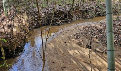 Photo #13 of 4530 Peeples, Oak Ridge, NC 4.5 acres