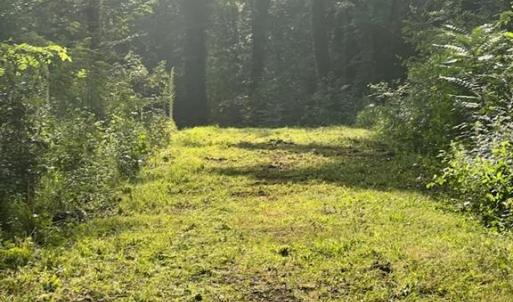 Photo #3 of 4530 Peeples, Oak Ridge, NC 4.5 acres