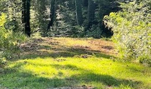 Photo #4 of 4530 Peeples, Oak Ridge, NC 4.5 acres