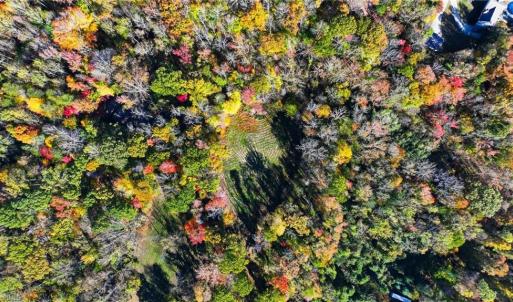 Photo #8 of 4530 Peeples, Oak Ridge, NC 4.5 acres