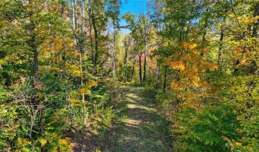 Photo #6 of 4530 Peeples, Oak Ridge, NC 4.5 acres