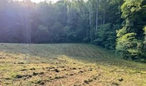Photo #11 of 4530 Peeples, Oak Ridge, NC 4.5 acres