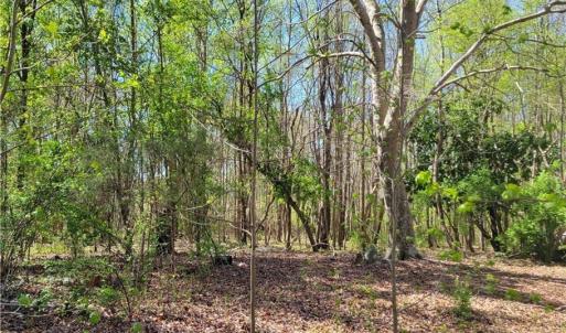 Photo #2 of 4650 Huntingwood, Ramseur, NC 4.4 acres