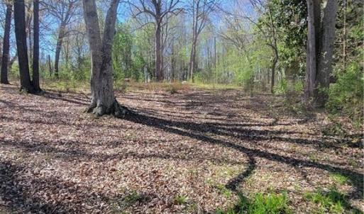 Photo #3 of 4650 Huntingwood, Ramseur, NC 4.4 acres