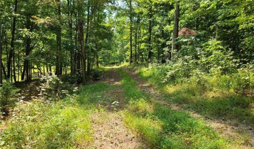 Photo #16 of Grassy Knob, Pilot Mountain, NC 47.0 acres