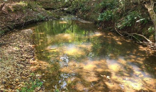 Photo #5 of Grassy Knob, Pilot Mountain, NC 47.0 acres