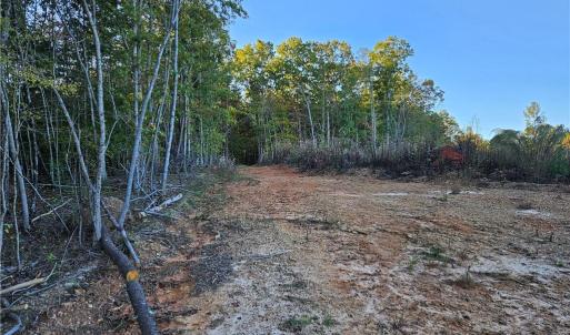 Photo #21 of Grassy Knob, Pilot Mountain, NC 47.0 acres
