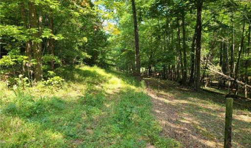 Photo #16 of Grassy Knob, Pilot Mountain, NC 25.0 acres