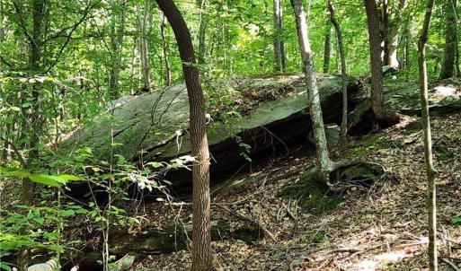 Photo #1 of Grassy Knob, Pilot Mountain, NC 25.0 acres