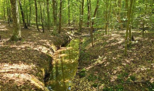 Photo #5 of Grassy Knob, Pilot Mountain, NC 25.0 acres