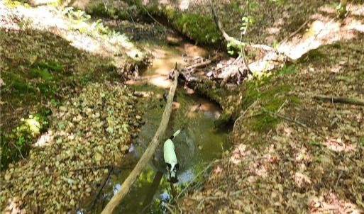 Photo #4 of Grassy Knob, Pilot Mountain, NC 25.0 acres