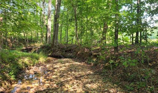 Photo #8 of Grassy Knob, Pilot Mountain, NC 25.0 acres