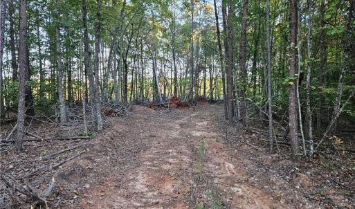 Photo #23 of Grassy Knob, Pilot Mountain, NC 25.0 acres