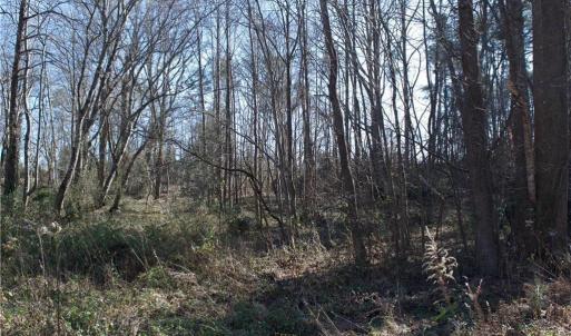 Photo #3 of 6925 US Highway 158, Stokesdale, NC 2.6 acres