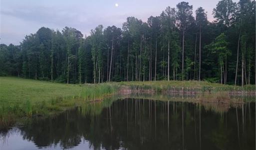 Photo #1 of 1279 Harrison, Randleman, NC 4.4 acres